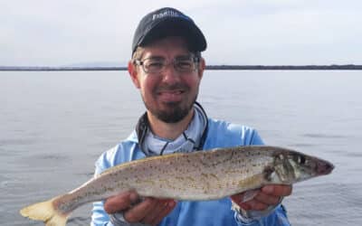 Episode 489: Port Phillip Bay Whiting With Alan Bonnici