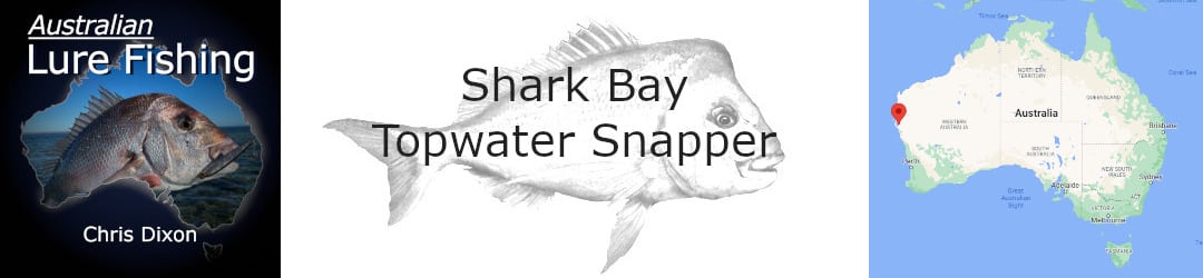 Shark Bay Topwater Snapper Fishing With Chris Dixon