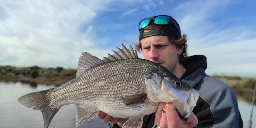 Episode 498: South Gippsland Estuary Perch With Casey George