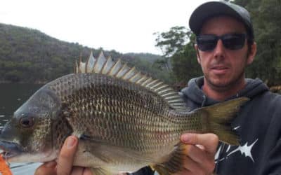 Episode 499: NSW Central Coast Bream With Aaron Donaldson