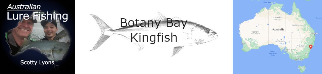Scotty Lyons Botany Bay Yellowtail Kingfish