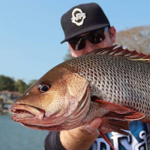 Alex Watson shows why lure fishing for mangrove jack is so addictive!