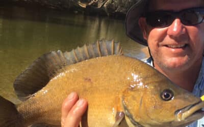 Episode 522: Far North Qld Sooty Grunter With Phil Laycock