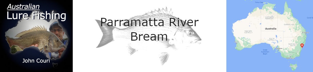 Parramatta River Bream With John Couri