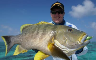 Episode 525: Five Best Queensland Sportfishing Destinations With Damon Olsen