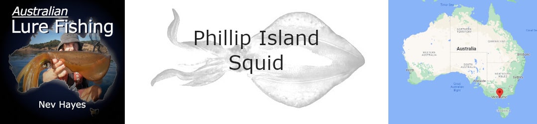 Phillip Island Squid With Nev Hayes