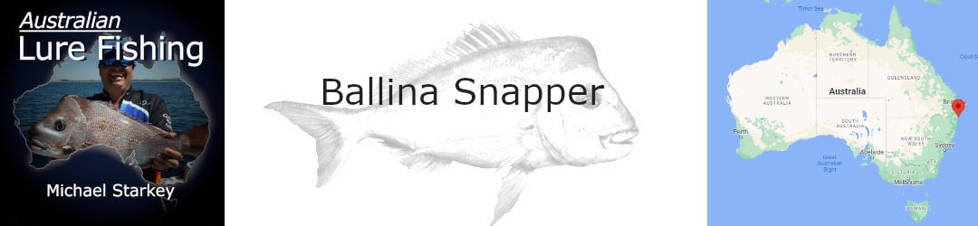 Ballina Snapper Fishing With Michael Starkey