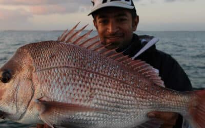 Discover the Best Fishing Spots in Southeast Queensland this Spring