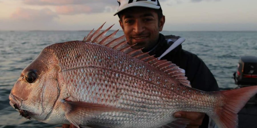 Discover the Best Fishing Spots in Southeast Queensland this Spring