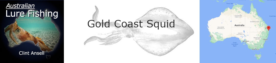 Gold Coast Squid Fishing With Clint Ansell on the ALF Podcast