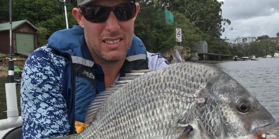 Episode 546: Sydney Bream With Andrew Death And Luke Kay