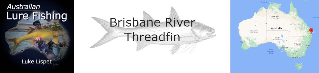 Brisbane River Threadfin from a kayak Luke Lispet