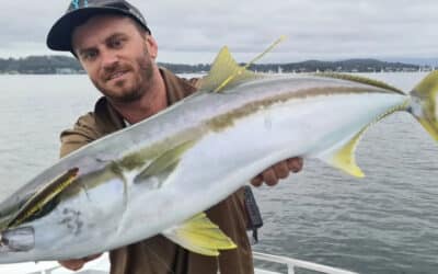 Episode 569: Lake Macquarie On Lures With Dan Guilfoyle. Part 1: Summer.