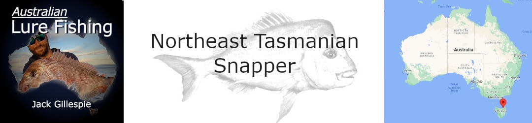 North East Tasmanian Snapper With Jack Gillespie