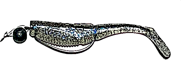 Belly weighted paddletail barra lure