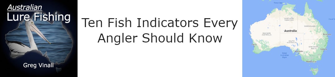 Ten Fish Indicators All Anglers Should Know Greg Vinall