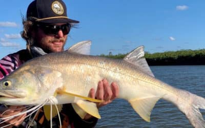 Episode 593: Great Sandy Straits Autumn Fishing With Ryan Holdsworth