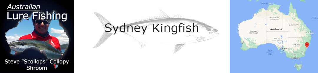 Sydney Land-based kingfish with Steve Collopy and Shroom