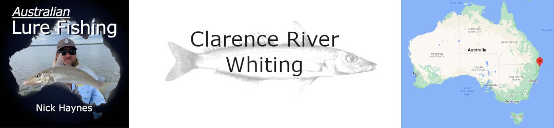 Clarence River Whiting With Nick Haynes