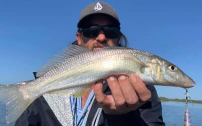 Episode 599: Clarence Estuary Whiting With Nick Haynes