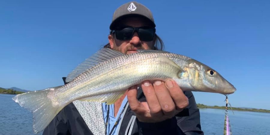 Episode 599: Clarence Estuary Whiting With Nick Haynes