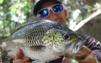 Episode 606: Land-based Lure Fishing Mackay With Luke Galea