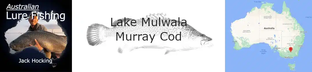 Lake Mulwala Murray Cod Fishing With Jack Hocking