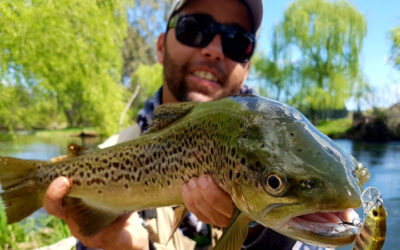 Conquering River And Stream Trout In Southern NSW With Wayne Dubois