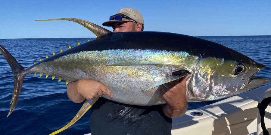 Southeast Queensland Yellowfin Tuna Fishing With Kaspar Lenigas