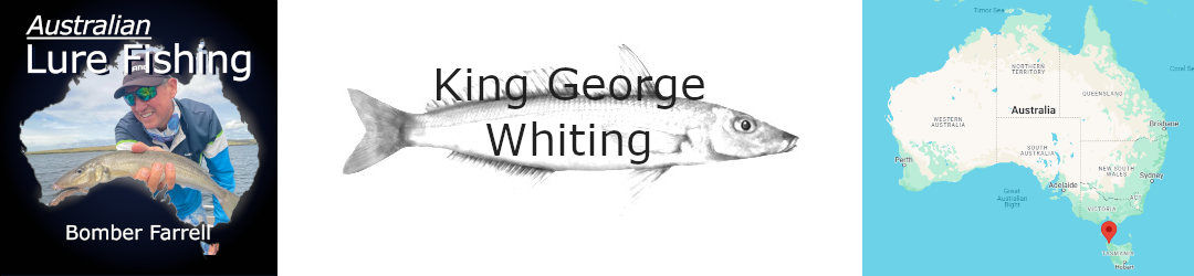 King George whiting on lures Bomber Farrell