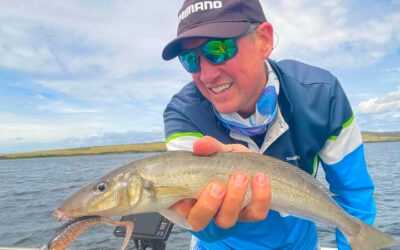 King George Whiting On Lures: Unravelling The Mysteries