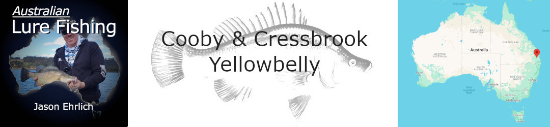 Cooby Dam And Cressbrook Dam golden perch fishing