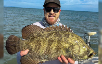 Gladstone’s Mysterious Tripletail: Ryan Stimson Shares His Secrets
