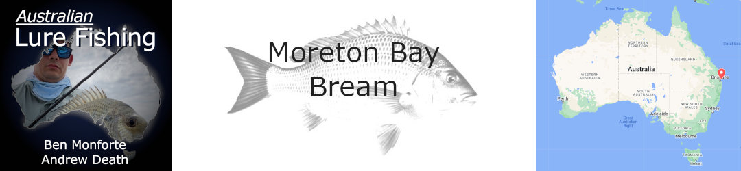 Moreton Bay Bream Fishing with free rigging techniques