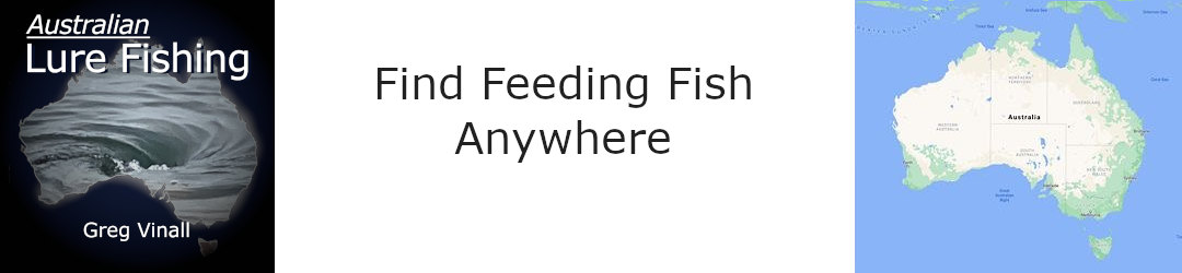 Find feeding fish anywhere - eddies are key