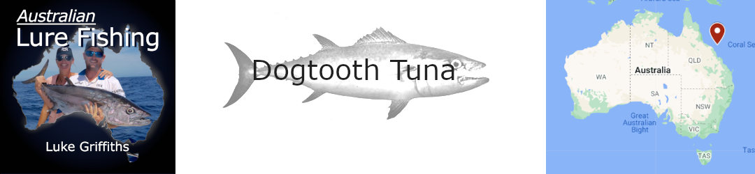 Coral Sea fishing: dogtooth tuna madness