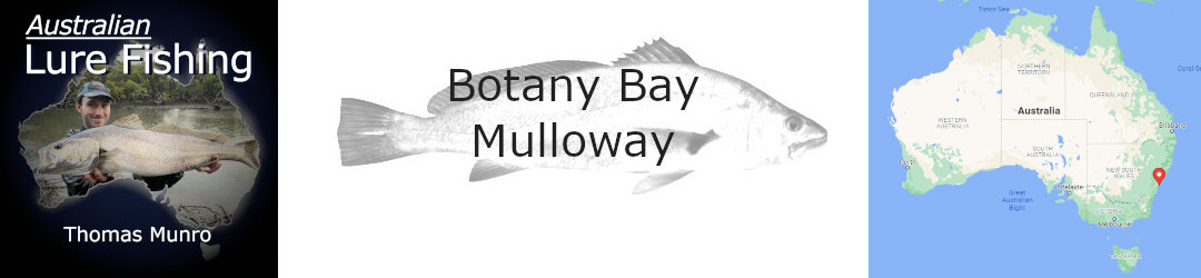 Land-based fishing in Botany Bay for mulloway