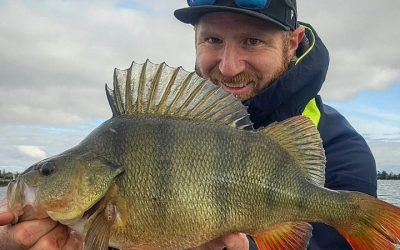 Advanced Soft Plastic Techniques With Rory Benn-Clibborn